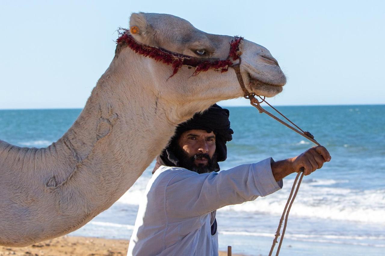 Sunshine Surf Morocco Bed & Breakfast Tamraght Dış mekan fotoğraf